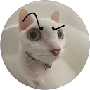 Виталик П. profile picture